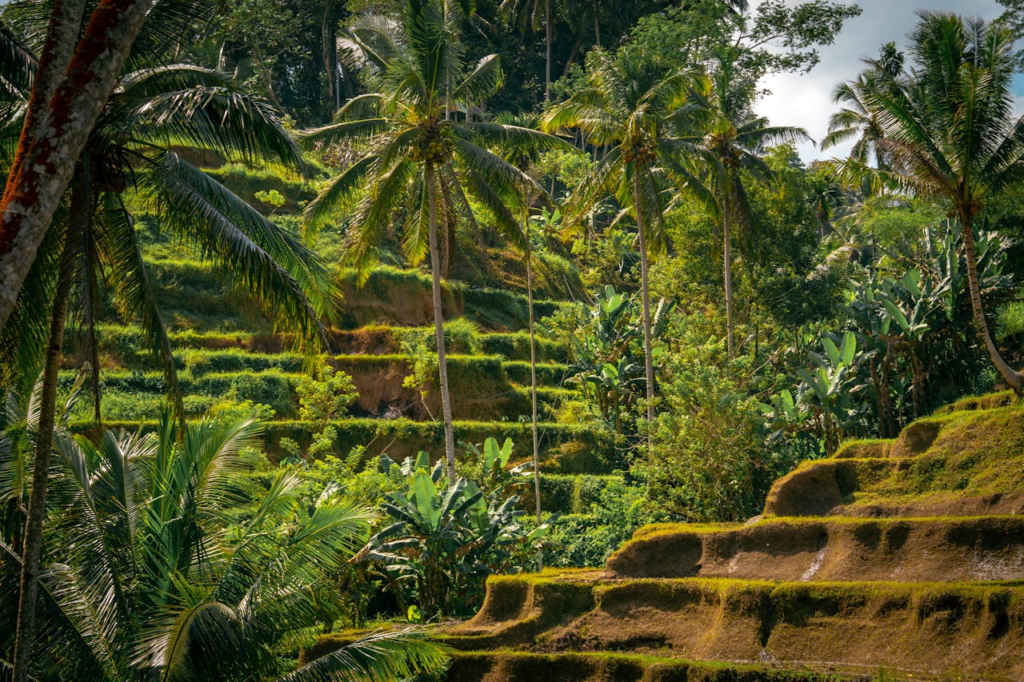 ubud, bali
